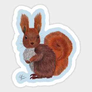 Cute and Colorful Red Squirrel Sticker